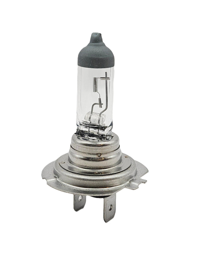 Halogen H7 - 12V 100W